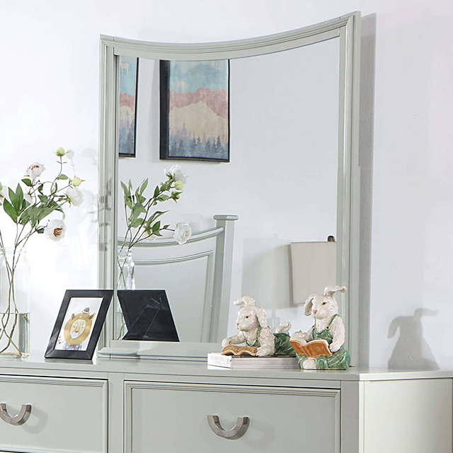 Furniture of America Lycorida Mirror