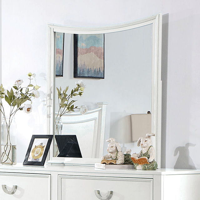 Furniture of America Lycoris Mirror