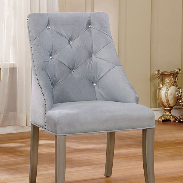 Furniture of America Diocles Side Chair
