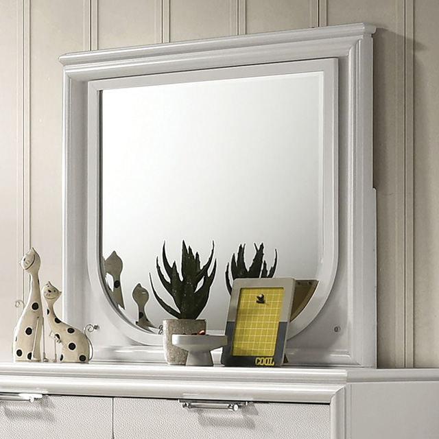 Furniture of America Lareina Mirror