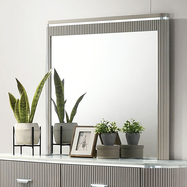 Furniture of America Aldridge Mirror